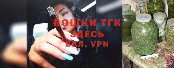 прущие грибы Богородск