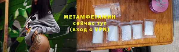 прущие грибы Богородск