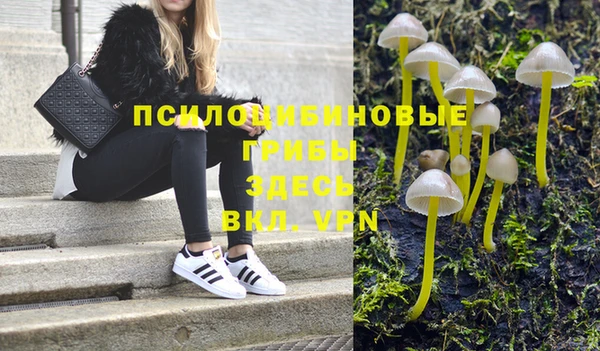 прущие грибы Богородск