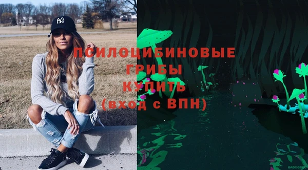 прущие грибы Богородск