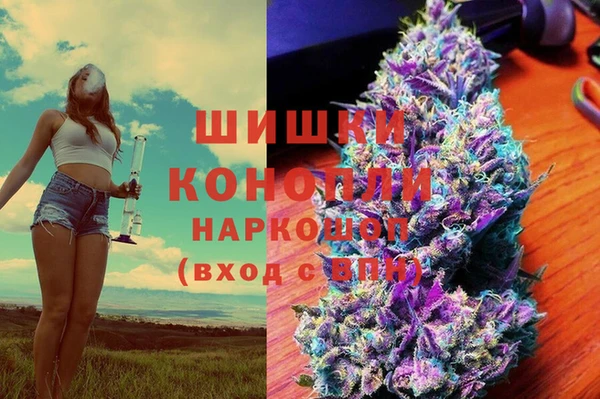 прущие грибы Богородск