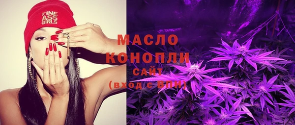 mix Богородицк