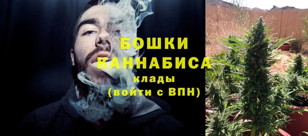 бутират Богданович