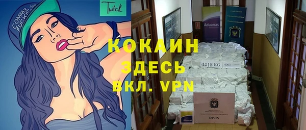 mix Богородицк