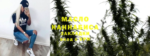 mix Богородицк
