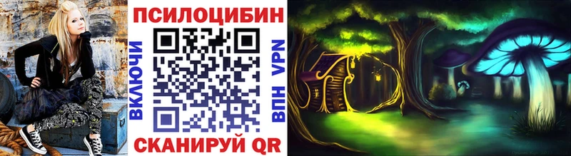 Купить закладки  Барабинск  Галлюциногенные грибы мицелий 